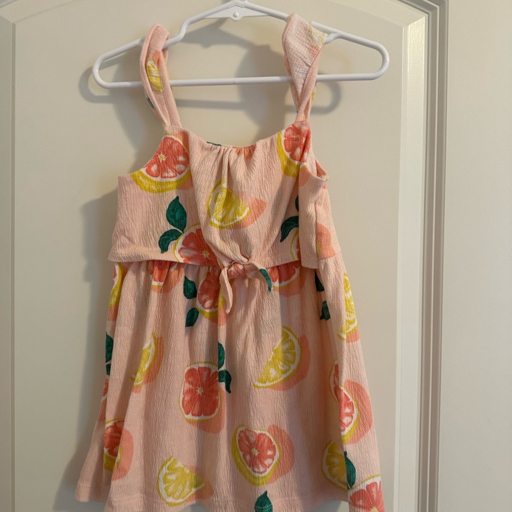 Carter's Pink Dress with Citrus Accents
